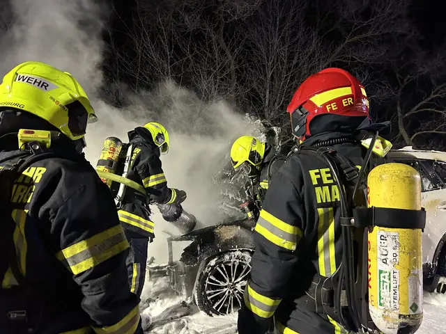 Mehrere Einsatzkräfte wurden zwischen Sigleß und Pöttsching alarmiert.  | Foto: Feuerwehr Mattersburg