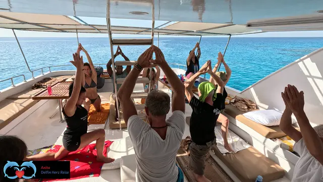 Retreats von Anita Görlach in Liezen verbinden Delfinschwimmen, Stressbewältigung und Achtsamkeit für nachhaltige Lebensfreude. | Foto: Anita Görlach