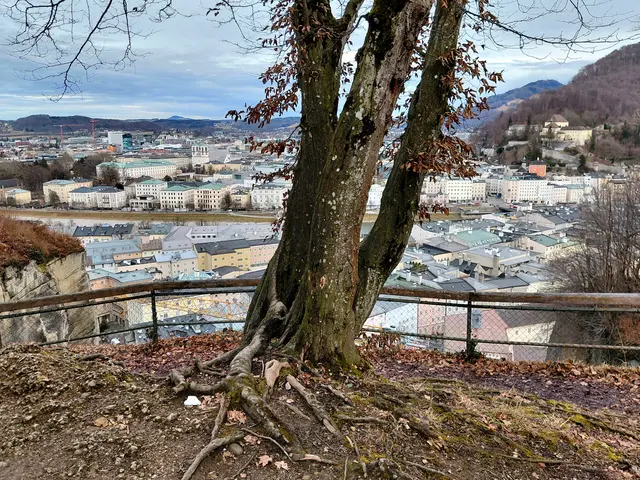 Foto: H.Bachinger