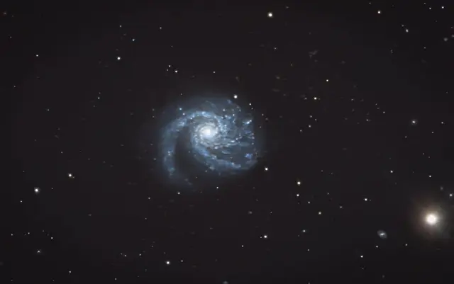 Die Spiralgalaxie Messier 99 | Foto: Günter Kleinschuster