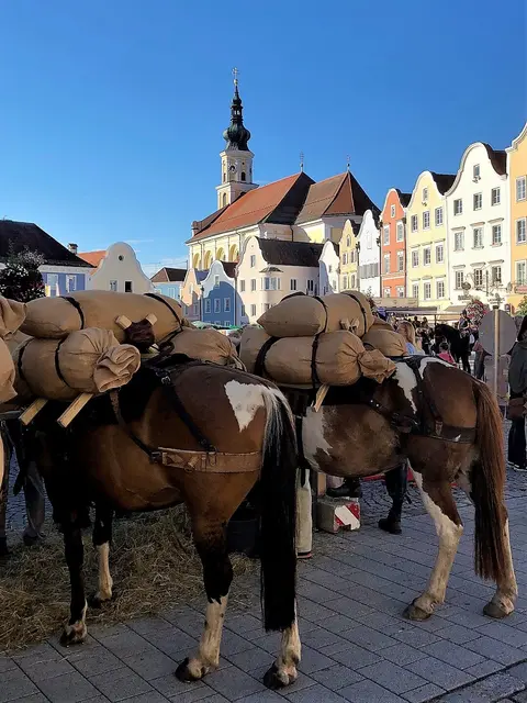Schwere Last auf den Rücken der Pferde das „Weiße Gold“. | Foto: Franz Gruber