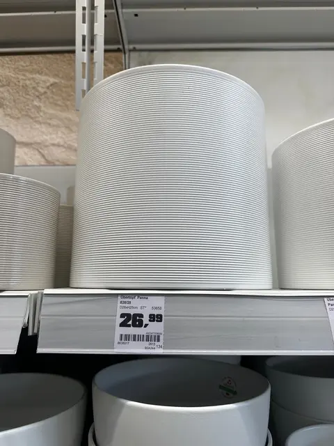 Der Übertopf kostete am 3. Februar im Obi-Baumarkt in Freistadt 26,99 Euro. | Foto: zVg