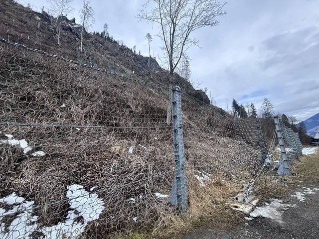 Der Steinschlag ist im Ortsteil Erlach ein Thema. Jetzt kommt Bewegung in die Sache.  | Foto: Haun