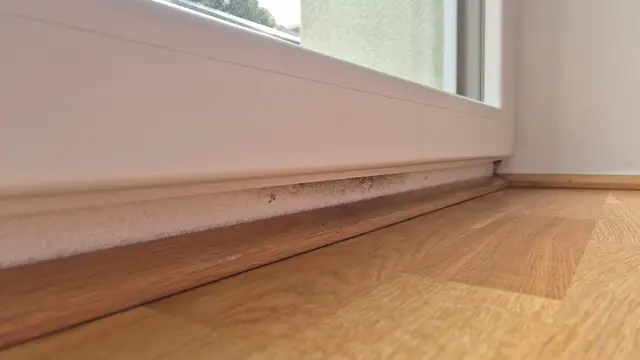 Schimmelbildung in einer betroffenen Wohnung. | Foto: KPÖ