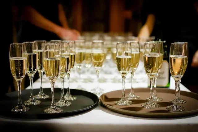 Ein Glas Sekt kostet heuer am Ball nach wie vor 21 Euro. | Foto: Patricia Hillinger/MeinBezirk