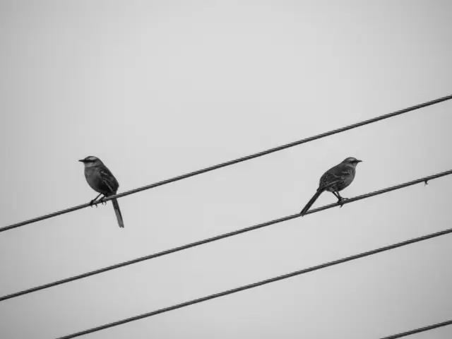 Nicht immer herrscht in einer Partnerschaft pure Harmonie.  | Foto: Unsplash/Eduardo Soares 