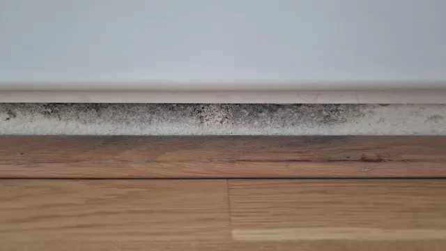 Deutliche Schimmelbildung in einer betroffenen IIG-Wohnung.  | Foto: KPÖ