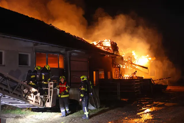 Beim Eintreffen der Feuerwehr stand der Stall bereits völlig in Flammen, für rund zehn Tiere kam jede Hilfe zu spät.  | Foto: laumat/Matthias Lauber