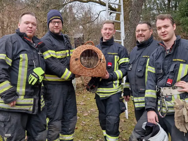 Foto: BFK Amstetten/FF Waidhofen-Stadt