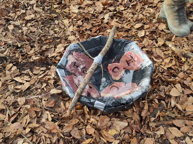Der kleinen Schale für den Barbecue-Grill wurden fünf Gramm gelatinöser Sprengstoff zugefügt. | Foto: Berger