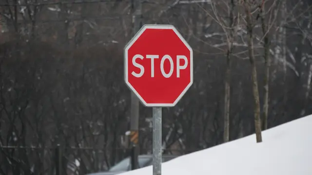 Unter den Verkehrsschildern sollen sich auch "Stopp" und "Vorrang geben"-Schilder befunden haben. (Symbolfoto) | Foto: stock.adobe.com/at/Семён Прудий 