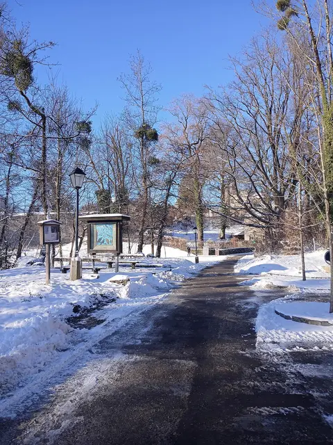 Gut geräumte Wege laden auch im Winter dazu ein, zu Fuß zu gehen, so wie hier am Mönchsberg | Foto: Stadt Salzburg