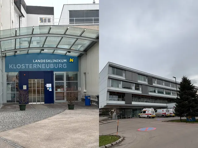 Das Diätologinnen-Team des UK Tulln-Klosterneuburg verrät wertvolle Tipps zum Thema Fasten. | Foto: Fotos/Kollage: Seebacher
