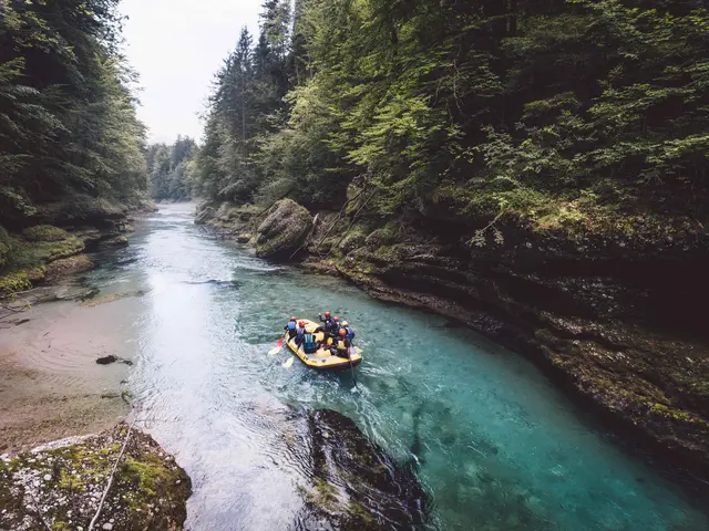 Das Projekt "Gesäuse im Fluss" wurde vorgestellt, danach standen Ziele, Forschungsschwerpunkte und regionale Auswirkungen im Mittelpunkt. | Foto: Stefan Leitner