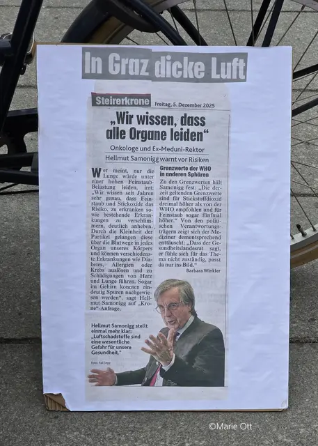 DICKE LUFT IN GRAZ, GESUNDHEIT
