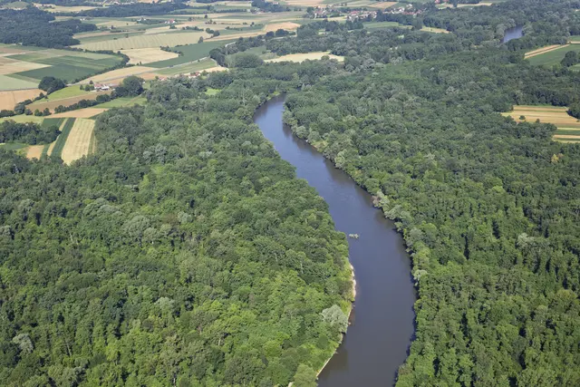 Die Mur in Hrastje Mota, Slowenien: Das Aus für die Kraftwerkspläne wird am 14. Februar rechtskräftig.  | Foto: G. Safarek