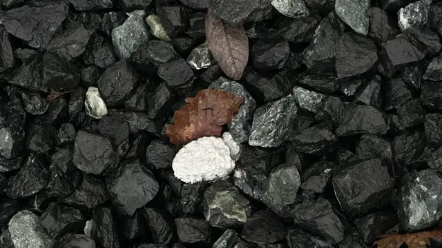 Auch in der Oststeiermark, konkret in den Gemeinden Neudau und Hartberg, konnte Greenpeace asbesthaltiges Material sicherstellen.  | Foto: Greenpeace
