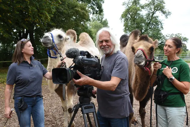 Kamel-Shooting im Tiergarten Walding mit Kameltrainerin Ulli Obermüller (l.), Erich Pröll und Tierpflegerin Martha Wöckinger (r.). | Foto: Jutta Anna Wirth
