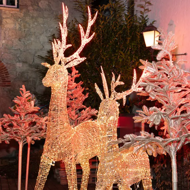 Foto: Samir Ikhlef/Salzburg-Cityguide