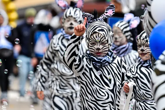 Die Zebras waren los. | Foto: W. Spitzbart