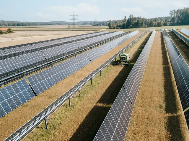 Erneuerbare Energien werden zur nachhaltigen Stromerzeugung im Innviertel schon lange genutzt. Gerade in den letzten Jahren gab es einen deutlichen Ausbau. | Foto: EWS