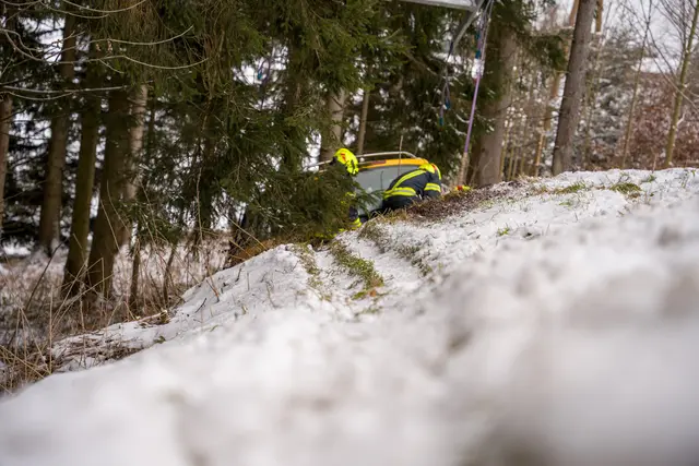 Foto: TEAM FOTOKERSCHI / MARTIN SCHARINGER