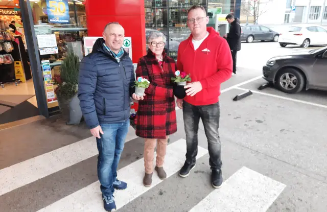 Ein Primelstöckl von der Alternative für Stainz | Foto: Gerhard Langmann