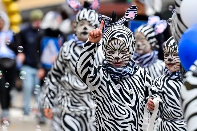 Die Zebras waren los. | Foto: W. Spitzbart