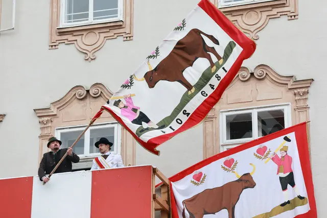 Metzgersprung 2026 | Foto: Franz Neumayr