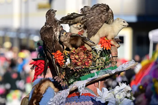 Foto: Wolfgang Spitzbart
