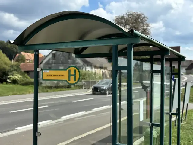 Die Diskussionen rund um den Schülertransport in der Gemeinde Kirchberg an der Raab reißen nicht ab. | Foto: MeinBezirk