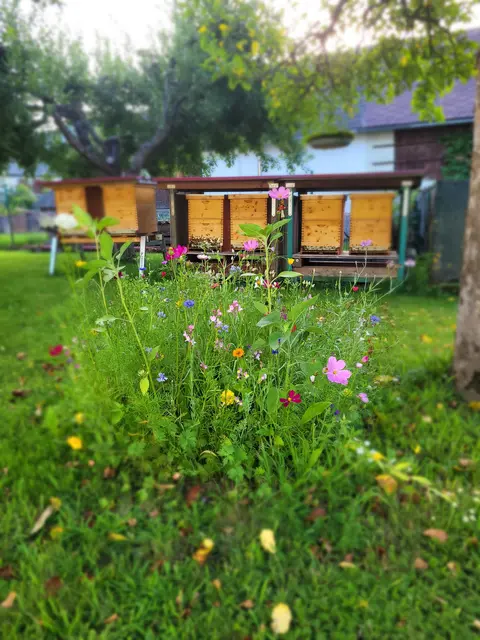 Foto: Bienenzuchtverein Möchling