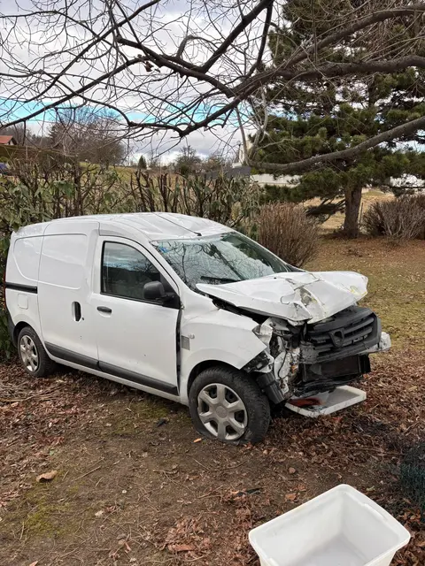 Der Fahrzeuglenker prallte mit seinem Wagen gegen einen Baum. | Foto: FF Forchtenau