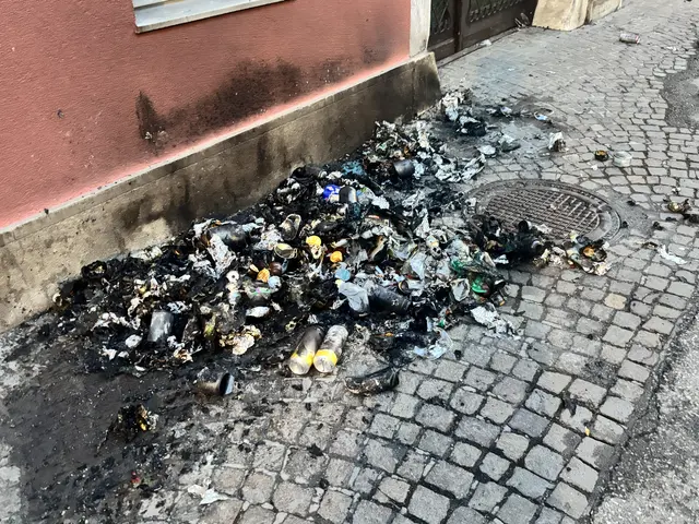 Weitere Erhebungen zum Täter bzw. zu den Tätern werden noch geführt. | Foto: MeinBezirk