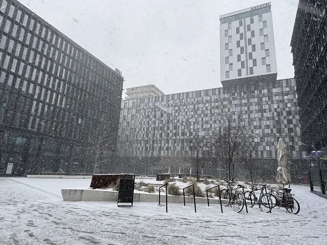 Am Montagvormittag fing es in Wien an, heftig zu schneien.  | Foto: Antonio Šećerović/MeinBezirk