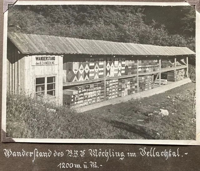 Foto: Bienenzuchtverein Möchling