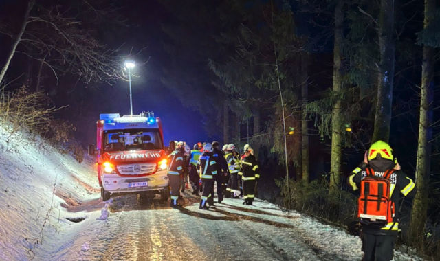 Foto: FF Hirschbach bzw. FF Neumarkt im Mühlkreis
