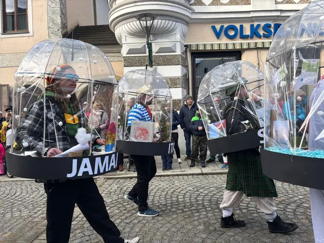 Beim Umzug am Faschingsdienstag in Grein. | Foto: MeinBezirk Perg