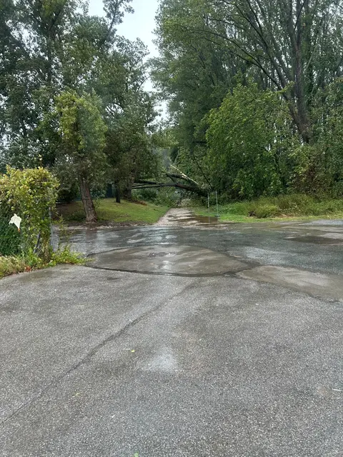 Dieses Bild aus dem Jahr 2024 zeigt einen umgestürzten Baum in diesem Bereich. Solche Fälle gab es immer wieder und führten teilweise zu Beschädigungen an Zäunen und am Flutlicht am Gelände des Happyland. Ähnliche Fälle gab es auch auf der anderen Seite des Waldes am Weg zwischen Durchstich und diesem kleinen Wald. | Foto: zVg.