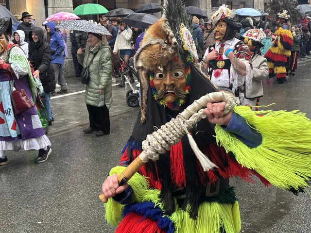 Der Faschingsdienstag in der Innsbrucker Innenstadt trotzte dem Regen.  | Foto: MeinBezirk/Herrmann