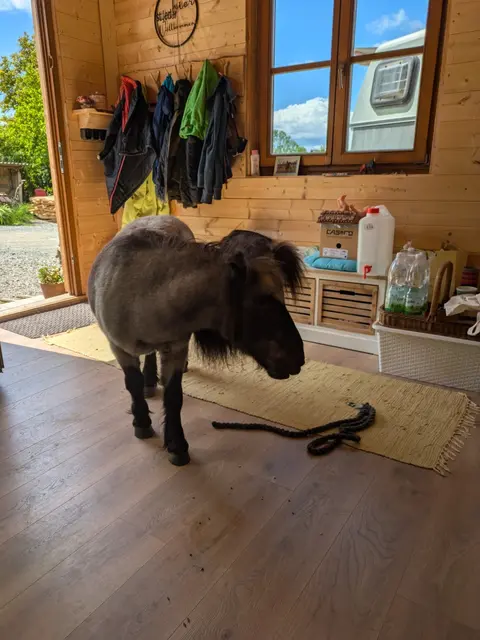 Foto: Bilder Lisa Pacher