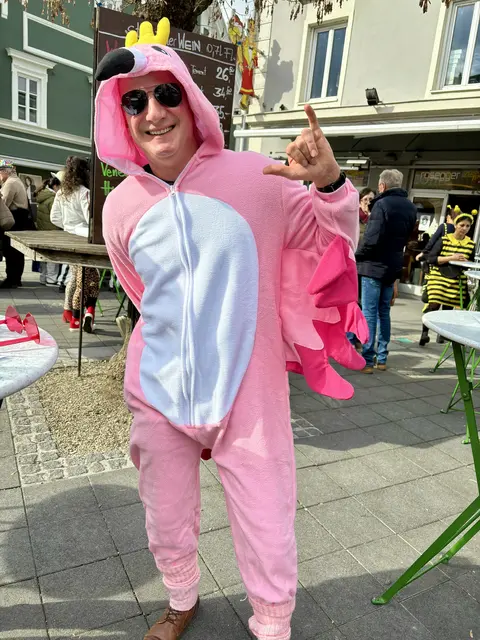 Ein Flamingo überwintert in Leibnitz 