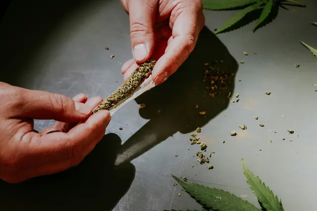 Die beiden Männer dürften zusammen insgesamt Marihuana in der Menge von rund 5.000 Gramm und Kokain in der Menge von rund 100 Gramm in Verkehr gesetzt haben. | Foto: Unsplash/Elsa Olofsson