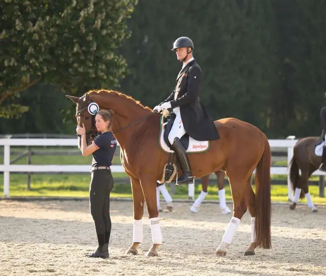 Peter Gmoser auf Baronderry. | Foto: Murtal Trakehner Gestüt