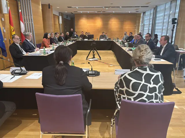 Am Mittwoch wurde im U-Ausschuss "Neue Eisenstädter" die erste Auskunftsperson befragt.  | Foto: Franz Tscheinig/MeinBezirk Burgenland