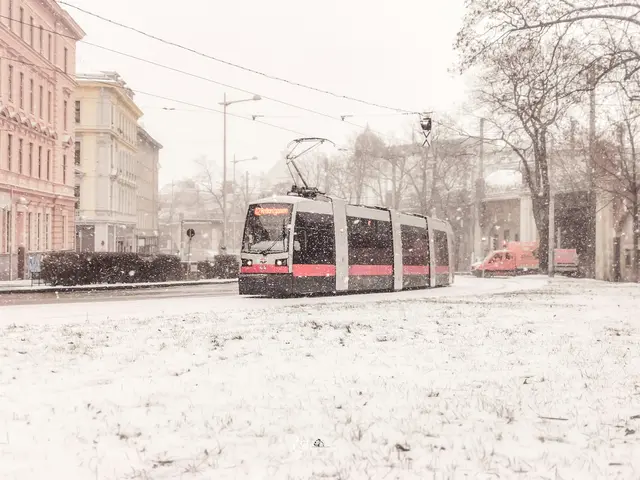 Der Donnerstag präsentiert sich überwiegend bewölkt und zunehmend winterlich. (Symbolbild) | Foto: Saikat Bhuiyan/Unsplash