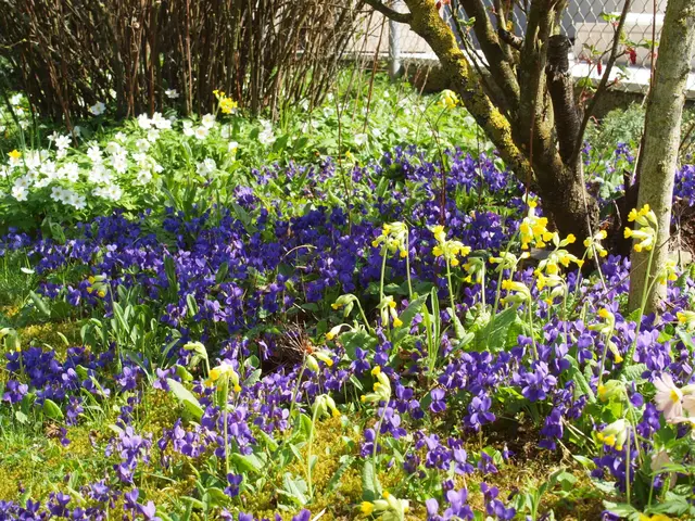 Wer der Umwelt etwas Gutes tun möchte, muss beim modernen Garten etwas nachhelfen: Blumen, blühende Sträucher und auch Laubreste sind ideal für Insekten und Nützlinge.  | Foto: Klimabündnis OÖ