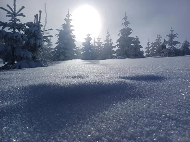 Foto: Gruber/zvg AV Schärding