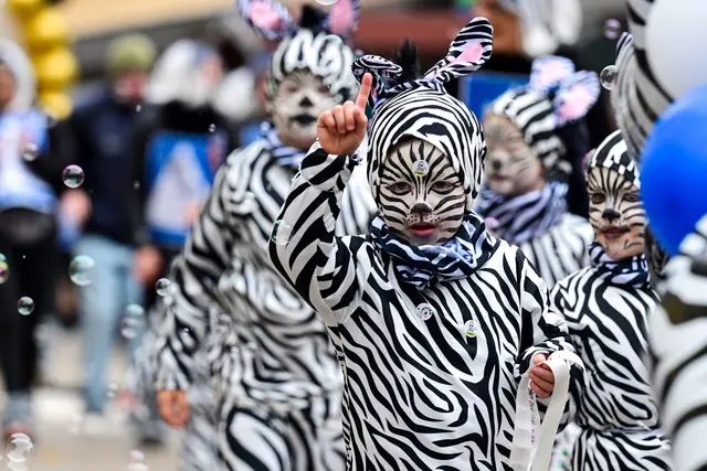 Die Zebras waren los. | Foto: W. Spitzbart