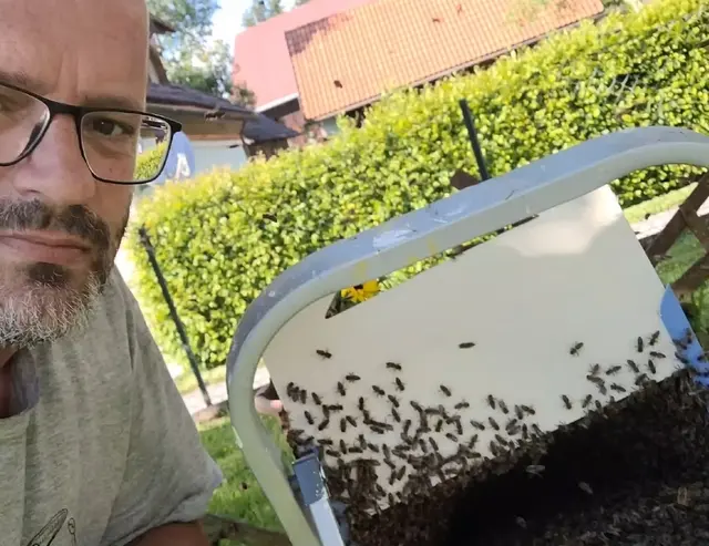 Wo andere zurückweichen, bleibt Hans Peter Korenjak gelassen. | Foto: Bienenzuchtverein Möchling